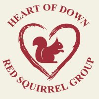 heartofdownreds(@heartofdownreds) 's Twitter Profile Photo