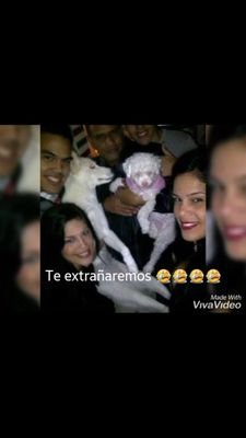 creo en dios todo poderoso amante de la libertad y la democracia