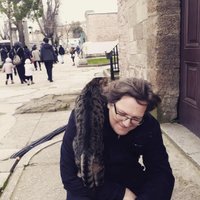 Ins A Kromminga (@krommingaa) 's Twitter Profile