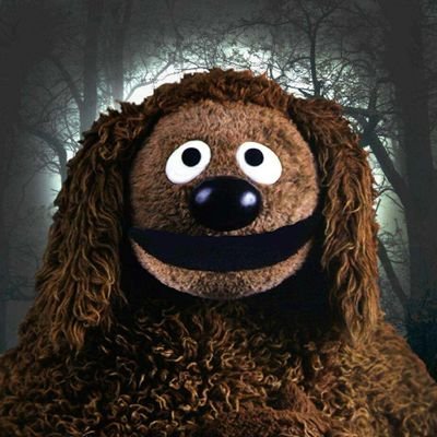 titohanr's profile picture. ⏳