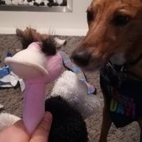 Dambert (@dambert5) 's Twitter Profile