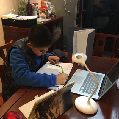 jammy40100391's profile picture. A man with a crazy dog