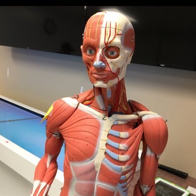 Neuromusculosk1's profile picture. Musculoskeletal Disorder and Rehabilitation Students @MiamiUniversity...Emily, Maddie, Lena, and Rachel