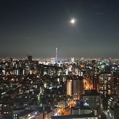 placepantheon's profile picture. 公共政策
趣味-月見