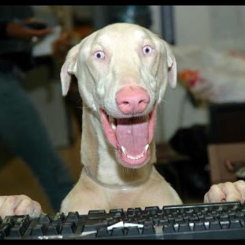 ririuririu's profile picture. 