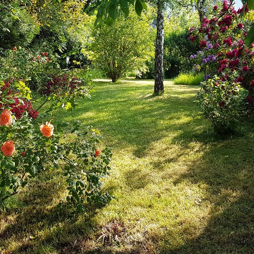 La France est un paradis peuplé de gens qui croient vivre en enfer (S. Tesson)