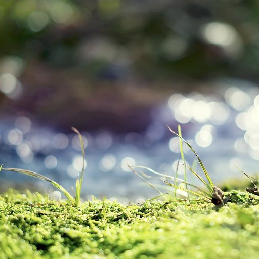 BRichard_Ben's profile picture. 