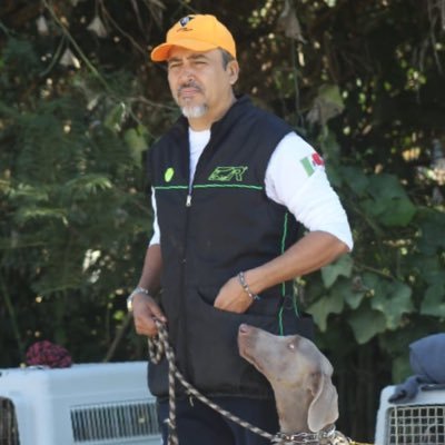 CarlosPerezR9's profile picture. No participo en una discusión para ganarla o convencerte. El conocimiento nos hará libres.