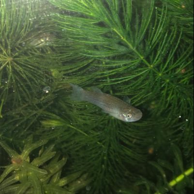 Rm05EYdyIqSCoRs's profile picture. 