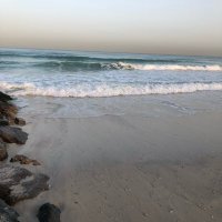 elshadi (@elshadi7) 's Twitter Profile