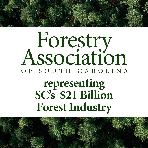 SC Forestry Association represents all segments of the forest industry. Vision: sustainable forests that provide social, economic and environmental benefits.