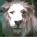 LUIS REZA - @ESUNGRAFICO - Twitter