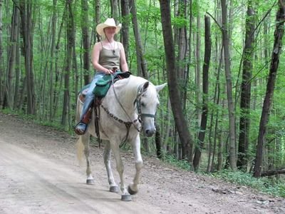 YarmyLynn's profile picture. Zookeeper, Horse crazy, The Walking Dead, crafting,  travel, Halloween,  nature, Stranger Things, country music, Shark lover, haunt attractions, acting