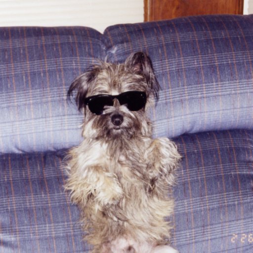 mbell58's profile picture. 