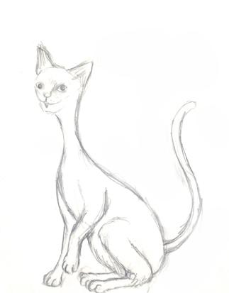 booklightt's profile picture. 