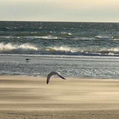 Mimy31044574's profile picture. 