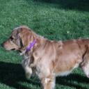 marge snyder - @missmarg - Twitter