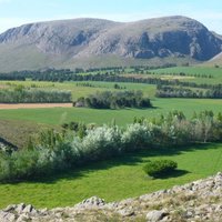 Leandro 🇦🇷 (@androquito) 's Twitter Profile