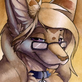 SolsticeFox Profile Picture