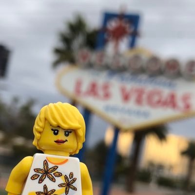 PaulaMalu's profile picture. Pittsburgh ninja, ghost hunter, LEGO aficionado, time traveler & hockey fan. #cityofchampions #resistance #ReyloTrash #BlackLivesMatter