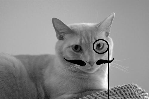 Cassie_52's profile picture. So far, my plan to live forever is working.

she/her