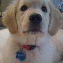 Ian Owens - @Ianowensco - Twitter