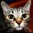 hiroshima_neko's profile image