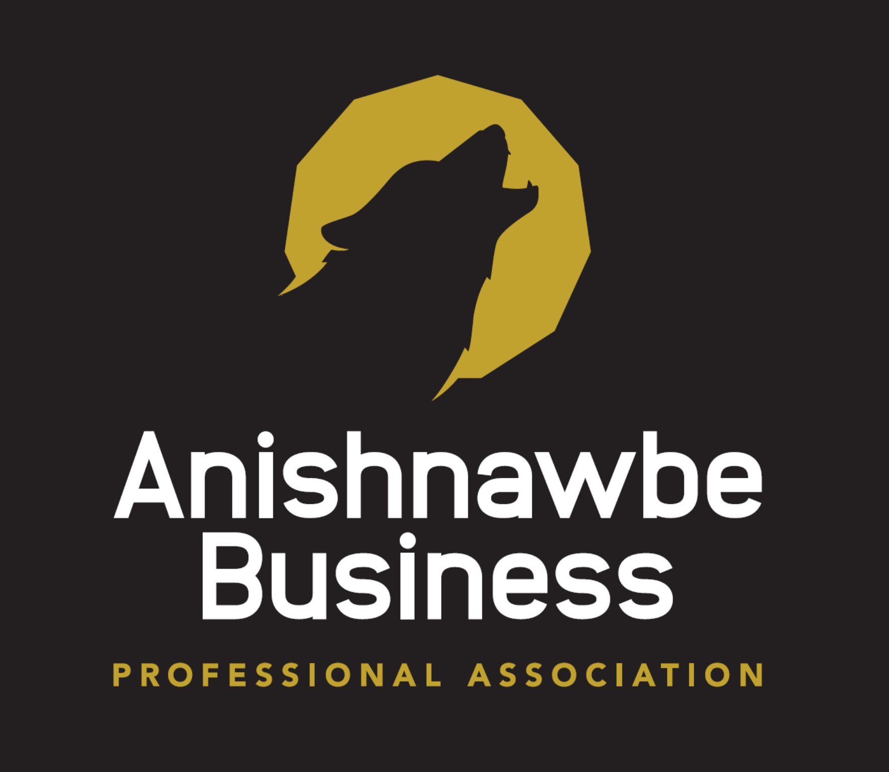 Anishnawbe Business Professional Association serves Northern Ontario with a vision for Anishnawbe Business Success