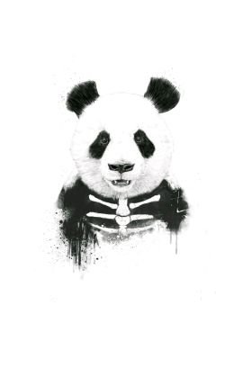 Irul57358560's profile picture. pengen menjadi lebih baik