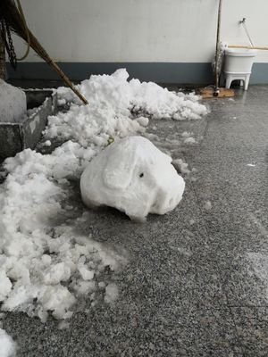 miusepi's profile picture. 🐴