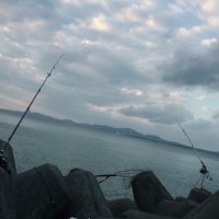みや (@tsuriokinawa) 's Twitter Profile