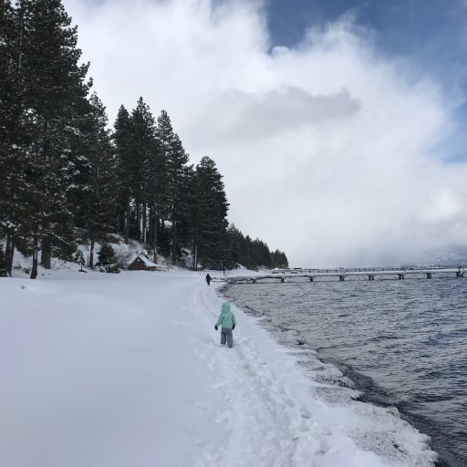 Jorge McDonald Profile