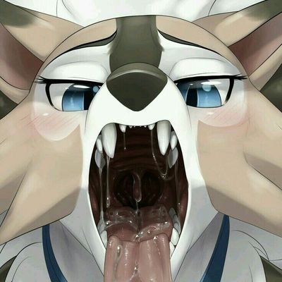 ðŸ”ž Gay + Straight furry yiff ðŸ”ž on Twitter: \