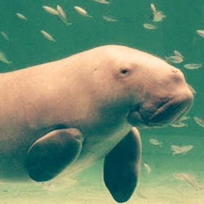 こんにちは！35歳の既男です！エロ活大好きで妻とのエロ活をご披露出来るようなりたい
#ntr #エロ #エロ漫画　#嫁好き