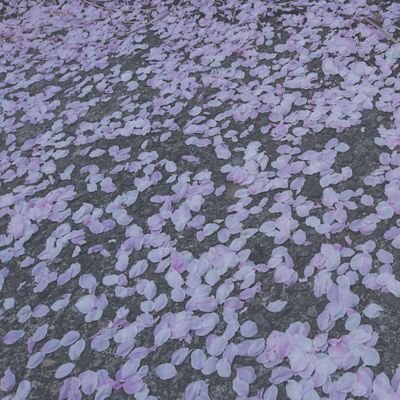 酔之淵さんのプロフィール画像
