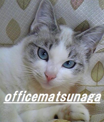 officematsunaga Profile Picture