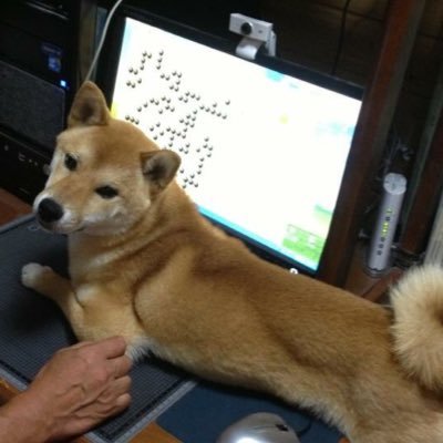 ばやし 囲碁 On Twitter 是非番外編 サムライファイト を読んでください 文庫本集めるのは大変だけどこれ読めば大体その後がわかりますd 有希は最終回では藤代と文通していい感じでしたが そのことについても出てきます 結婚相手はまた別です 笑