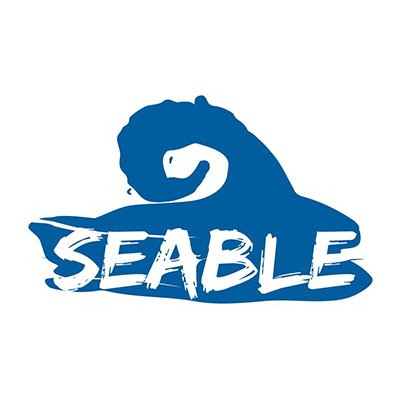 SeableHolidays Profile Picture