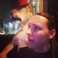 J D MacDonald (@jdmac177) 's Twitter Profile