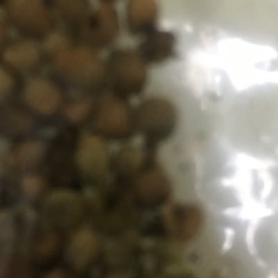 _x_420's profile picture. ただいま。つかまってないです。今こうなってる。また同じはないから、せっかくここで会えた機会にみんな仲良く出来るといいね😁簡単で難しいもんだ