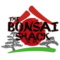 BonsaiShack(@BonsaiShack) 's Twitter Profile Photo