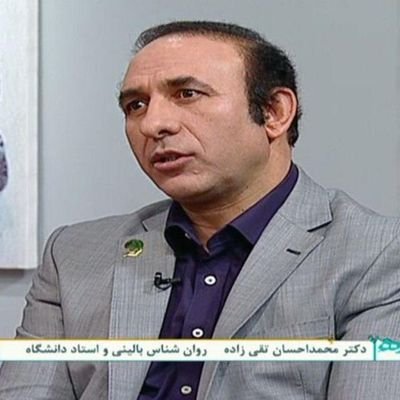 Dr Mohammad Ehsan Taghizadeh Profile