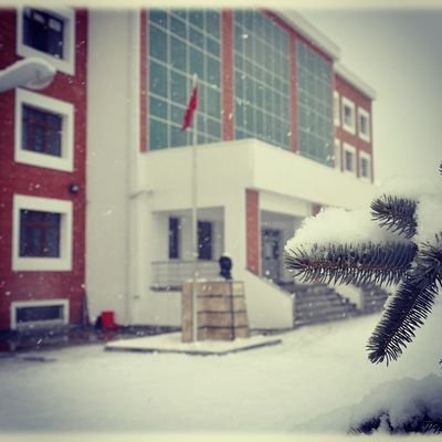 EdipMtal's profile picture.