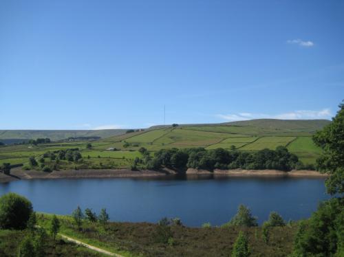 frugaltopcat's profile picture. 