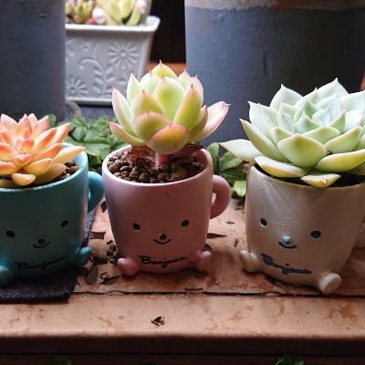 s2rx2s2's profile picture. 成人済(33歳)です。既婚。5人の子どももいます。好きなのは…色々あります！CPの地雷は無いです！ぜひ絡んでください♪気軽にフォロー、リプお待ちしてます！