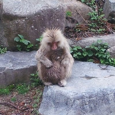 長野県、豊田村出身（故郷の唱歌の地）、豊田中学校で生徒会長してました！長野県立飯山北高校に進学し、バスケ部でキャプテンやってました。1試合50点以上取った試合もあります。今はアラフォｰのメタボなオッサンです！＿|￣|○ il||li