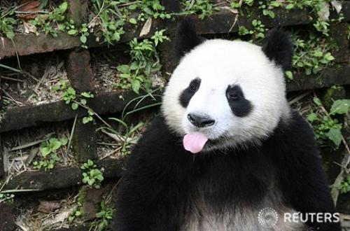 mahogany_vibe's profile picture. 