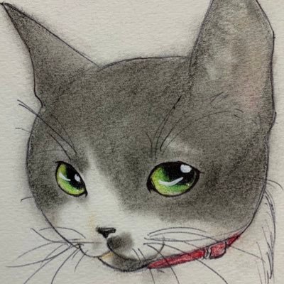 ねこたんぽさんのプロフィール画像
