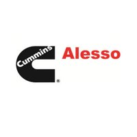 Alesso Cummins (@alesso_cummins) 's Twitter Profile
