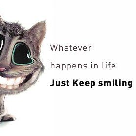 EW_Setups's profile picture. 